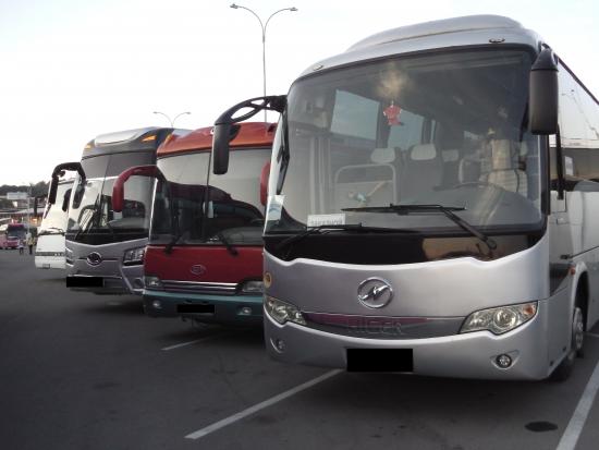 Прокат автобуса Краснодар